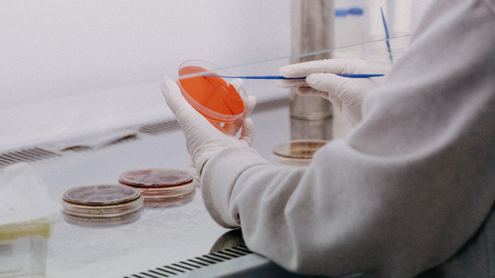 The OEM Sampling Process: From Brief to Approved Sample