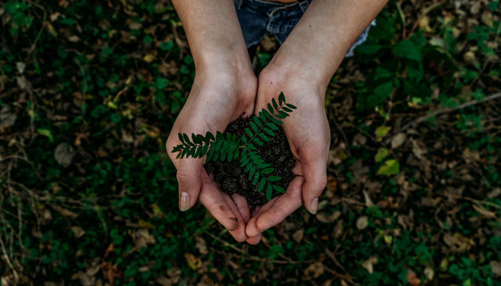 Eco-Friendly Packaging Solutions for Fragrance Brands