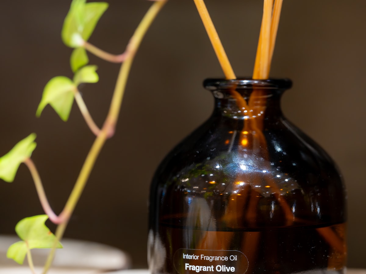 Mini Reed-Diffuser (50 ml)